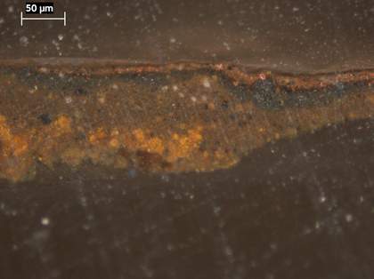 Fig.4 Cross-section through brown background at the right edge, photographed at x260 magnification.