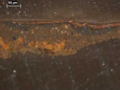 Fig.4 Cross-section through brown background at the right edge, photographed at x260 magnification.