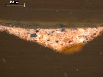 Fig.4 Cross-section, photographed at x225 magnification, of the background foliage