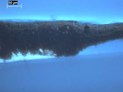 Fig.5 Cross-section through brown background at the right edge, photographed at x260 magnification in ultraviolet light. 