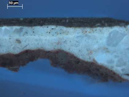 Fig.5 The same cross-section as fig.4, photographed in ultra-violet light