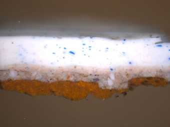 Cross-section through the pearl bracelet, photographed at x360 magnification