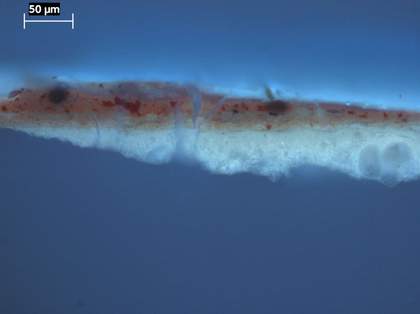 Fig.5 The same cross-section viewed in ultraviolet light