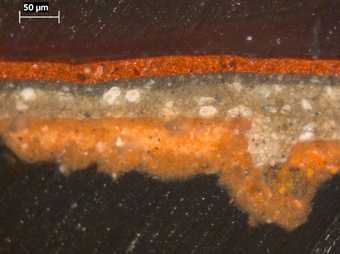 Fig.5 Cross-section through the red curtain, photographed at x320 magnification.