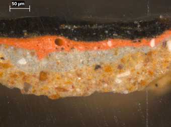 Fig.5 Cross-section through the black robe at the lower right corner, photographed at x320 magnification.