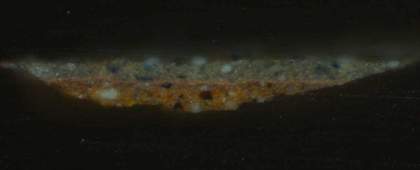 Fig.5 Cross-section through the sky, photographed at x320 magnification.