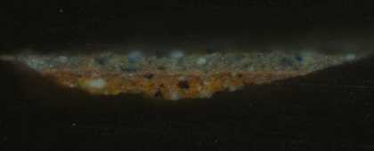 Fig.5 Cross-section through the sky, photographed at x320 magnification.