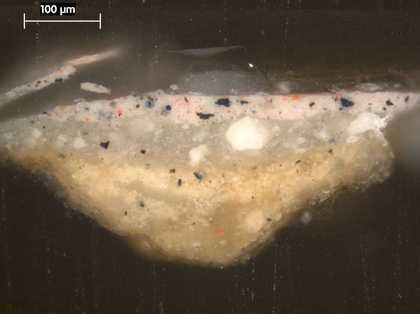 Fig.5 Cross-section through the hand of Portrait of a Lady, Called Elizabeth, Lady Tanfield 1615, photographed at x225 magnification. From the bottom: off-white ground; grey priming; flesh paint of hand; varnish