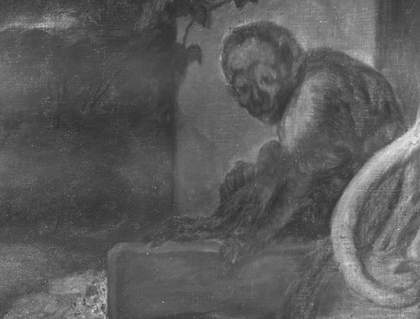 Fig.5 Infrared details of the animals and trees