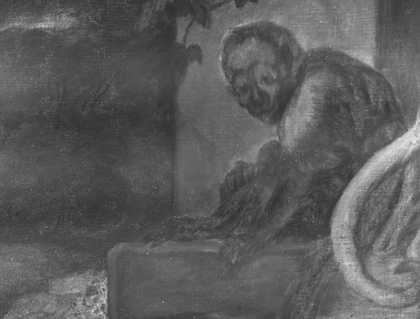 Fig.5 Infrared details of the animals and trees