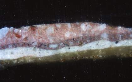 Fig.5 Cross-section through a ‘comma shaped’ decorative brushmark on the red blanket, photographed at x200 magnification