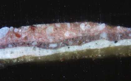Fig.5 Cross-section through a ‘comma shaped’ decorative brushmark on the red blanket, photographed at x200 magnification