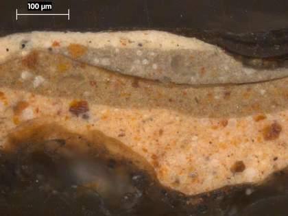 Fig.5 Cross-section from the stone wall at the lower right, photographed at x250 magnification.