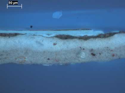 Fig.5 Cross-section through the top of the red book, photographed at x320 magnification in ultraviolet light.