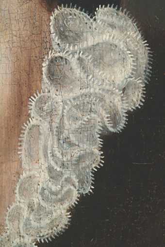 Fig.5 Detail of the ruff