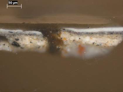 Fig.6 Cross-section from the sitter’s cuff, photographed at x320 magnification. From bottom to top it shows: biscuit coloured ground (the two first layers of ground are fragmentary in this sample); dark grey paint; white paint of lace cuff; varnish