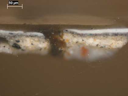 Fig.6 Cross-section from the sitter’s cuff, photographed at x320 magnification. From bottom to top it shows: biscuit coloured ground (the two first layers of ground are fragmentary in this sample); dark grey paint; white paint of lace cuff; varnish