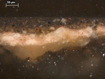 Fig.6 Cross-section through the grey foreground, photographed at x320 magnification.