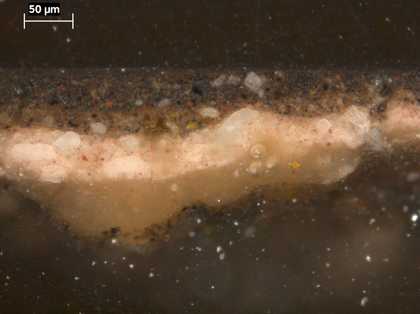 Fig.6 Cross-section through the grey foreground, photographed at x320 magnification.