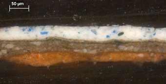 Fig.6 Cross-section through a highlight of the blue sash, photographed at x320 magnification.