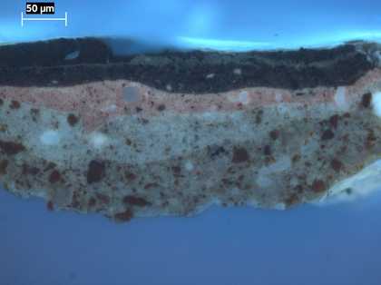 Fig.6 Cross-section through the black robe at the lower right corner, photographed at x320 magnification in ultraviolet light.