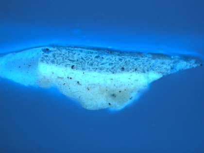 Fig.6 Cross-section through greyish blue sky near the top left corner, photographed at x200 magnification in ultraviolet light.