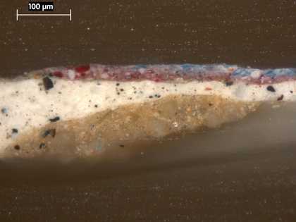 Fig.6 Cross-section through purple grape, photographed at x225 magnification, showing (from bottom to top): mushroom-coloured ground; grey priming; purple paint of the grape’s skin; blue paint of the bloom on the grape’s skin
