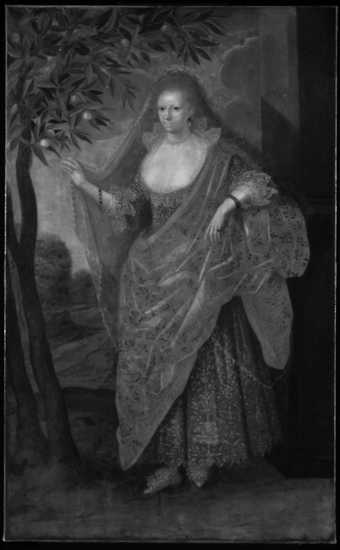 Fig.6 Infrared reflectogram of Portrait of a Lady, Called Elizabeth, Lady Tanfield 1615