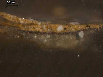 Fig.6 Cross-section from Porter’s yellow jerkin, photographed at x320 magnification. From the bottom: thin layer of glue-size applied to the canvas (which is not present in the sample); grey ground; thin, opaque dark reddish brown underpaint; yellow paint
