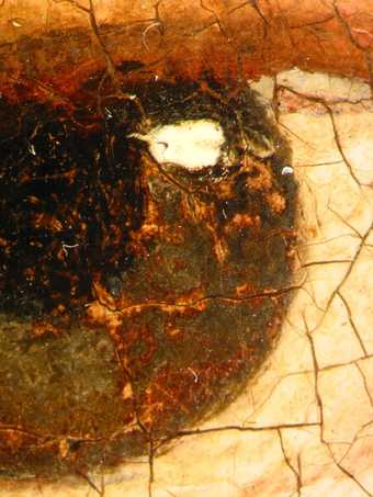 Fig.6 Microphotograph of eye, showing reddish brown underpainting beneath the final painting of the iris and pupil