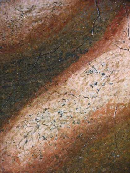 Fig.6 Microphotograph of the fingers taken at x8 magnification, showing brown outlines