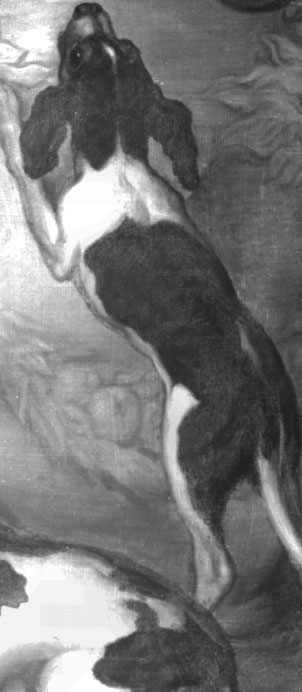 Fig.6 Infrared details of the animals and trees