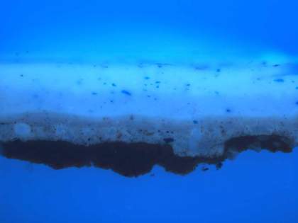 Fig.6 The same cross-section photographed in ultraviolet light