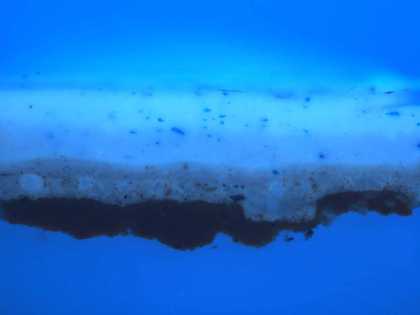 Fig.6 The same cross-section photographed in ultraviolet light