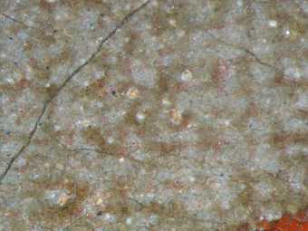 Fig.6 Detail of the tablecloth, photographed at x25 magnification, showing blue and red pigments in the grey matrix