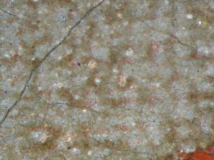 Fig.6 Detail of the tablecloth, photographed at x25 magnification, showing blue and red pigments in the grey matrix