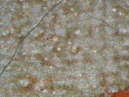 Fig.6 Detail of the tablecloth, photographed at x25 magnification, showing blue and red pigments in the grey matrix