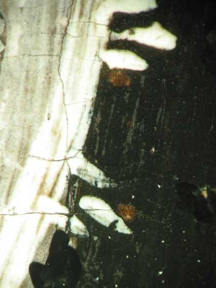 Fig.6 Detail at high magnification of the black doublet with grey underpaint and, below that, the reddish brown initial underpainting visible here and there