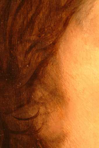 Fig.7 Macro-photograph of the edge of the face and the hair