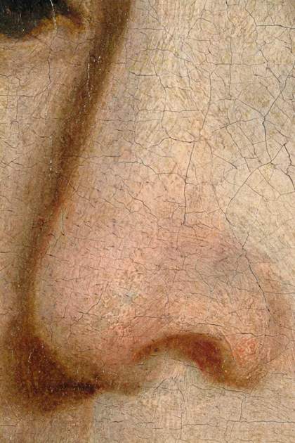 Fig.7 Detail of the nose