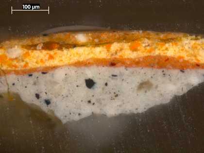 Fig.7 Cross-section through yellow pear, photographed at x225 magnification.