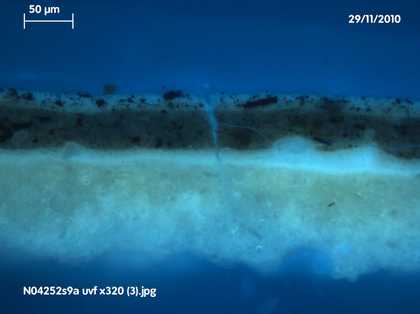 Fig.7 Cross-section through the background at the top edge, photographed at x320 magnification in ultraviolet light. From the bottom: off-white ground; white priming; brown underpaint of background; grey paint of background; varnish