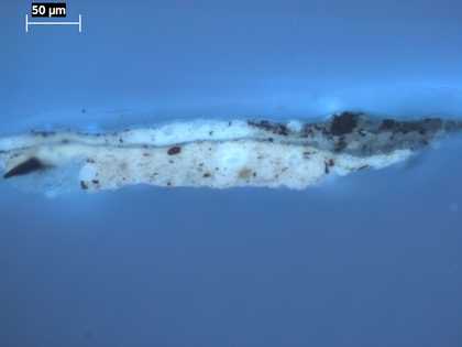 Fig.7 Cross-section through an unfaded area of the blue sash, photographed at x320 magnification in ultraviolet light.