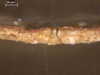 Fig.7 Cross-section through the reddish brown background, photographed at x320 magnification. From the bottom: fragment of fawn coloured ground; single layer of dense, dark red paint