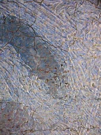 Fig.7 Microphotograph taken at x8 magnification of blue glazes over opaque paint in the frock
