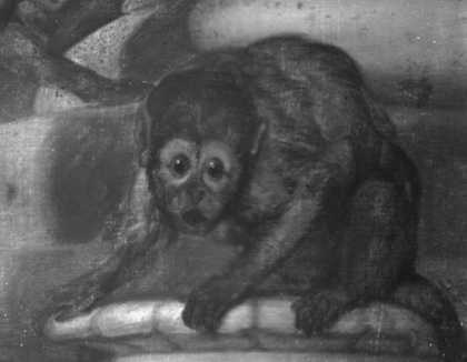 Fig.7 Infrared details of the animals and trees