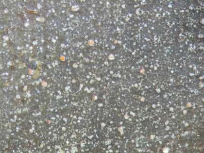 Fig.7 Detail of a shadowed fold in the tablecloth, photographed at x8 magnification, showing disruption of the surface by lead soap aggregates