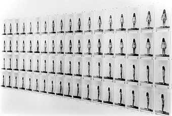 Fig.7 Eleanor Antin, Carving: A Traditional Sculpture 1972, detail