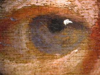 Fig.7 The sitter’s left eye, photographed at x8 magnification, showing the economical brushwork and the ground left visible as a neutral tone. The striations in the ground are visible beneath the thin paint of the eye