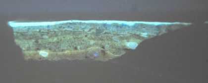 Fig.8 Cross-section through a shadowed area of the blue sash, photographed at x200 magnification in ultraviolet light. 
